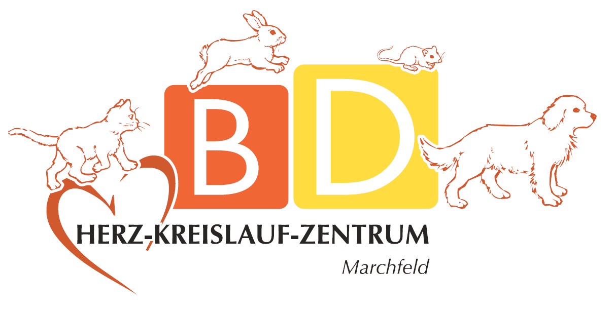 Tier-Zahnarzt Marchfeld bei Wien